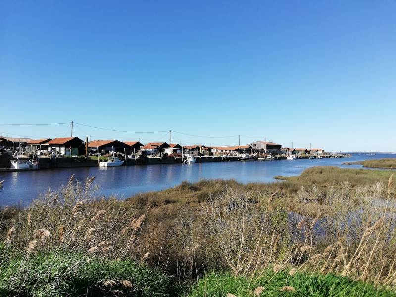 port de Gujan Bassin d'Arcachon/ GUJAN MESTRAS Gujan Mestras